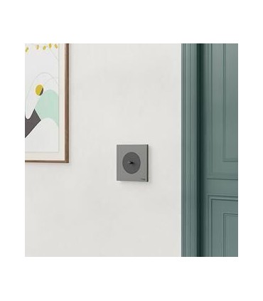 Plaque Odace 2025 Gris basalte 1 poste