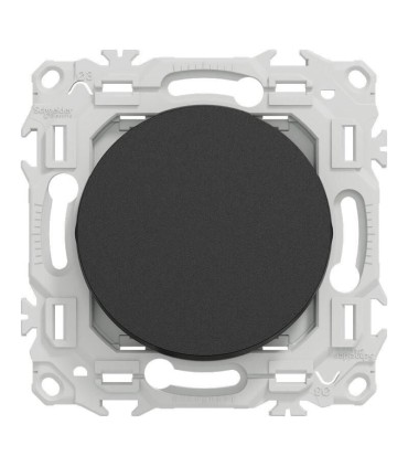 Permutateur noir Odace 2025