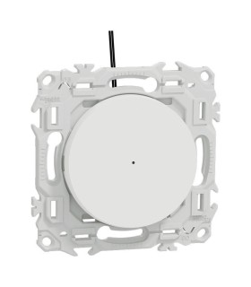 Va-et-vient ou poussoir lumineux blanc Odace 2025 LED verte 0,15mA incluse