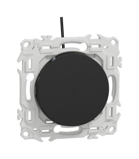 Va-et-vient ou poussoir lumineux noir Odace 2025