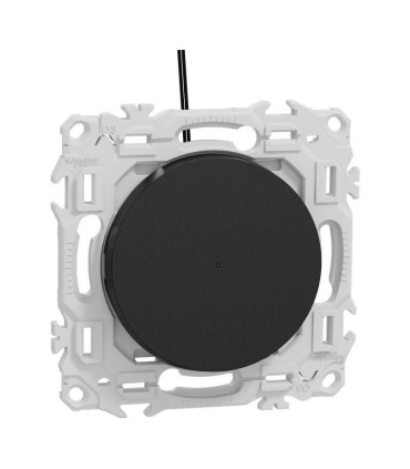 Va-et-vient ou poussoir lumineux noir Odace 2025