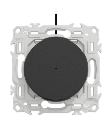 Va-et-vient ou poussoir lumineux noir Odace 2025