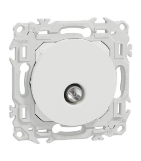 Prise TV blanche Odace 2025