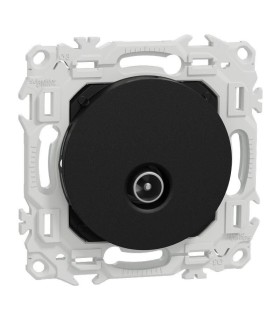 Prise TV noire Odace 2025