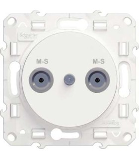 Prise Multiservices Blanc Schneider Electric Odace