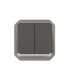 Commande double interrupteur ou poussoir lumineux Plexo composable anthracite / Legrand
