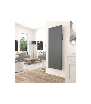Radiateur Chaleur douce Ovation 3 vertical gris ardoise 1500W