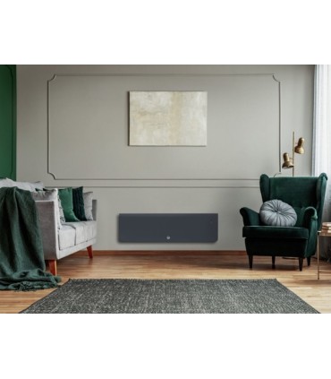 Radiateur Chaleur douce Ovation 3 plinthe gris ardoise 750W