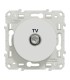 Prise TV simple Odace Schneider Electric Blanc