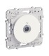Prise TV simple Odace Schneider Electric Blanc