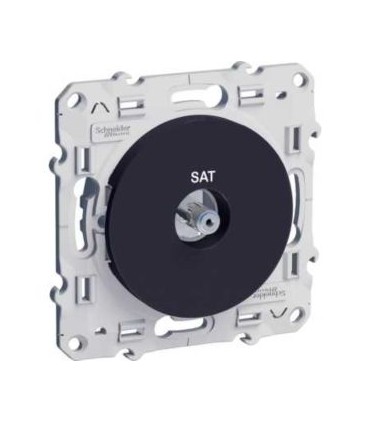 prise SAT Odace Schneider Electric  Anthracite