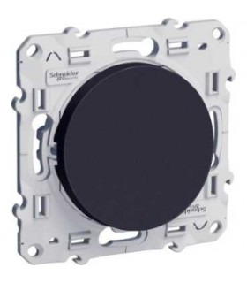va-et-vient Odace Schneider Electric 10 A, anthracite