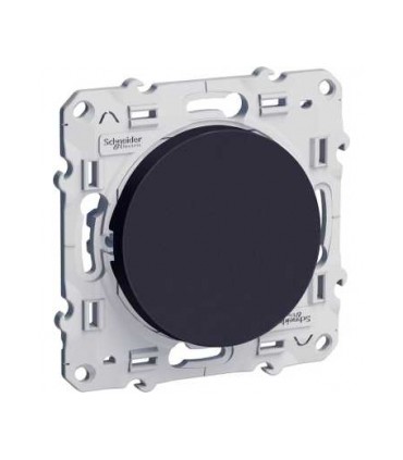 va-et-vient Odace Schneider Electric 10 A, anthracite