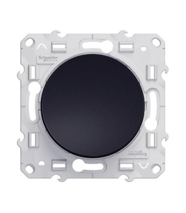 va-et-vient Odace Schneider Electric 10 A, anthracite