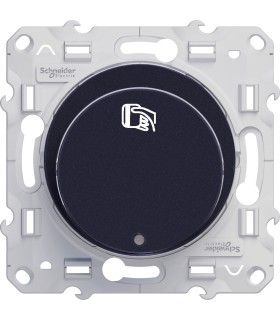 interrupteur à carte 10 A Odace Anthracite