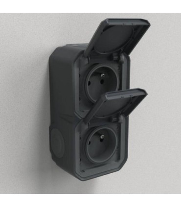 Prise de courant 2x2P+T verticale Plexo composable anthracite / Legrand