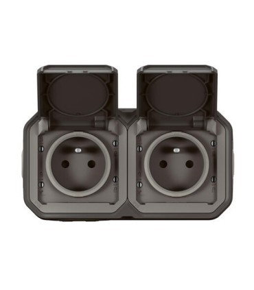 Prise de courant 2x2P+T horizontale Plexo complet saillie anthracite / Legrand