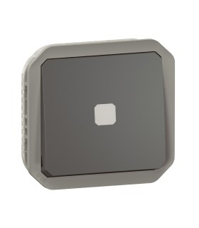 Interrupteur temporisé lumineux Plexo composable anthracite / Legrand