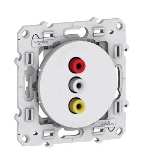 ODACE TRIPLE RCA Femelle BLANC