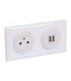 Double USB + Prise céliane 2P+T avec plaque blanc & boite d'encastrement