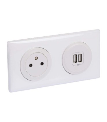Double USB + Prise céliane 2P+T avec plaque blanc & boite d'encastrement