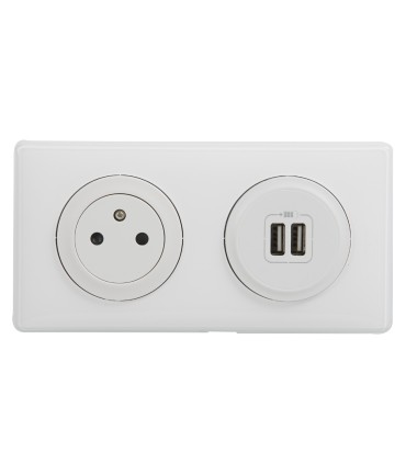 Double USB + Prise céliane 2P+T avec plaque blanc & boite d'encastrement
