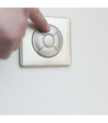 Interrupteur individuel de volets roulants Céliane 6A 250 V enjoliveur Titane