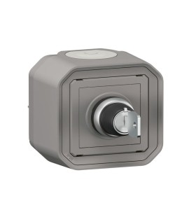 Commande réarmement étanche Plexo Gris à clé 2 contacts NO pour l'arrêt du désenfumage