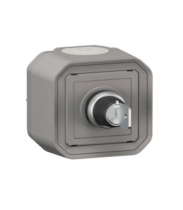 Commande réarmement étanche Plexo Gris à clé 2 contacts NO pour l'arrêt du désenfumage