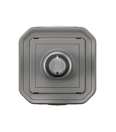 Commande réarmement étanche Plexo Gris à clé 2 contacts NO pour l'arrêt du désenfumage