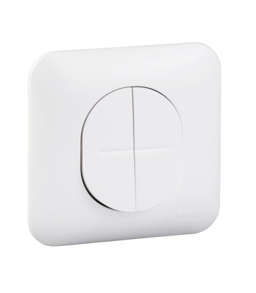 Double Va-et-Vient Schneider Electric Ovalis 10AX + Plaque-Blanc