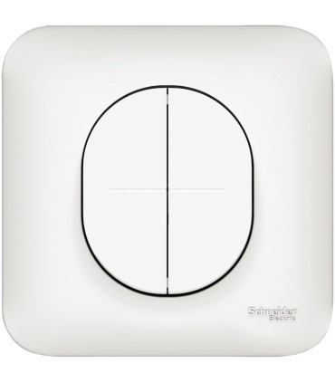 Double Va-et-Vient Schneider Electric Ovalis 10AX + Plaque-Blanc