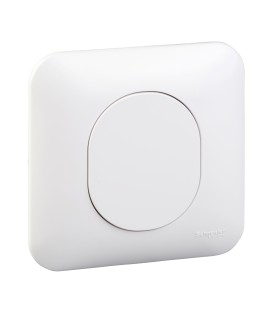 Obturateur à Griffes Schneider Electric Ovalis + Plaque BLANC