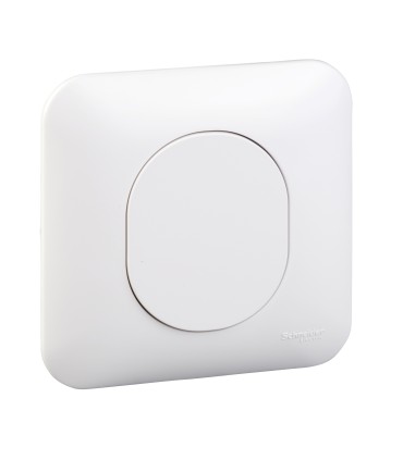 Obturateur à Griffes Schneider Electric Ovalis + Plaque BLANC
