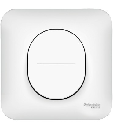Interrupteur Va-et-Vient 10AX Schneider Ovalis avec Plaque blanc