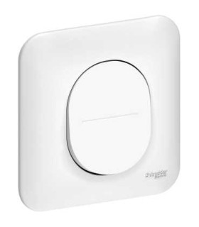Poussoir 10A à Griffes Schneider Electric Ovalis avec plaque Blanc