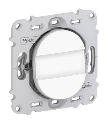 Poussoir Fermeture Porte Etiquette 10A Schneider Ovalis, sans Plaque.