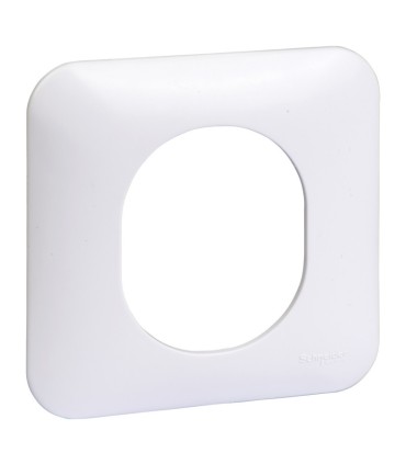 Lot de 100 plaques Ovalis Schneider Blanc sans emballage unitaire.