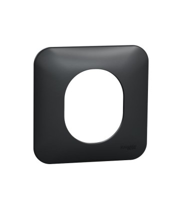 Ovalis - Plaque de finition - 1 poste Anthracite