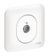 Prise TV Simple Schneider Electric Ovalis + Plaque- Blanc