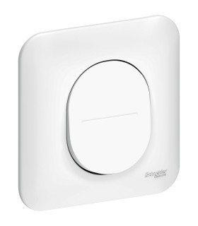 Interrupteur simple allumage Schneider Ovalis 10A + Plaque Blanc