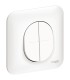 Double Poussoir Schneider Ovalis 10A + Plaque, Blanc