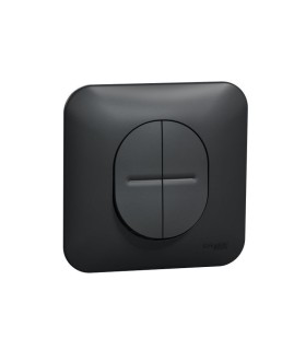 Double poussoir Ovalis Connexion rapide, plaque de finition - Anthracite