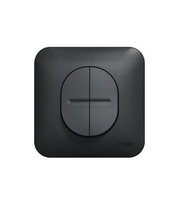 Double poussoir Ovalis Connexion rapide, plaque de finition - Anthracite