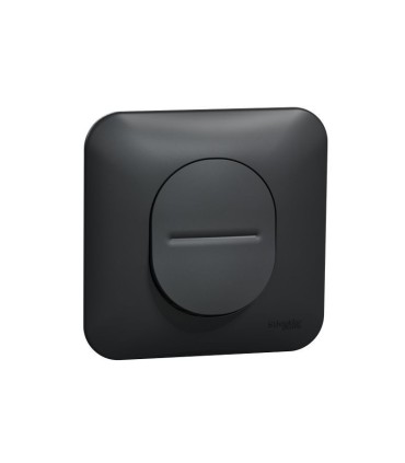 Bouton poussoir à fermeture Ovalis 10A Connexion rapide, plaque de finition - Anthracite