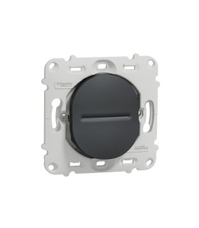 Bouton poussoir à fermeture Ovalis 10A sans plaque - Anthracite