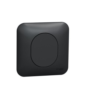 Obturateur Ovalis complet avec plaque de finition - Anthracite