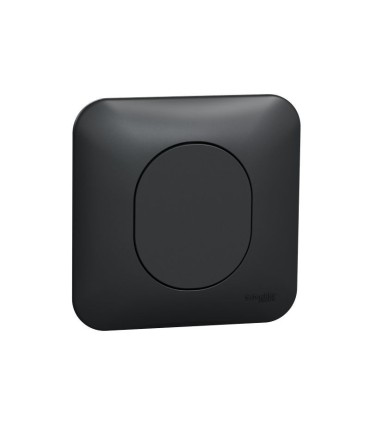 Obturateur Ovalis complet avec plaque de finition - Anthracite