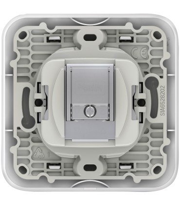 Prise TV-FM Schneider Ovalis avec plaque - BLANC