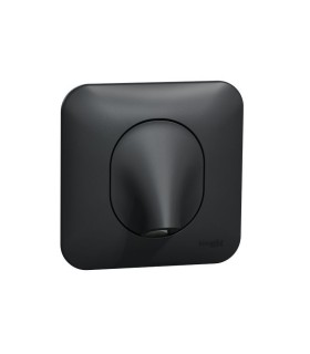 Sortie de câble 16A Ovalis 2 connecteurs à vis avec plaque - Anthracite